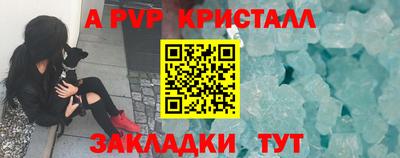 индика Дубна