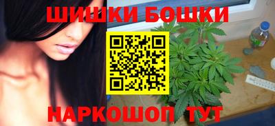 индика Дубна