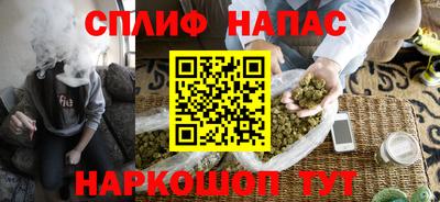 индика Дубна
