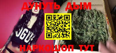 индика Дубна