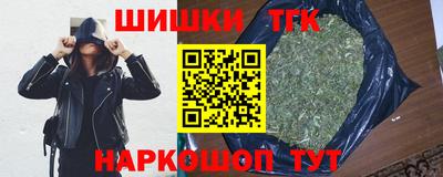 индика Дубна