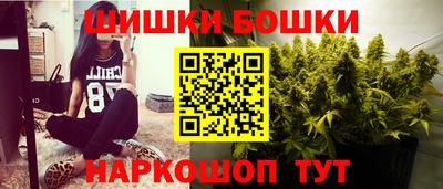 индика Дубна