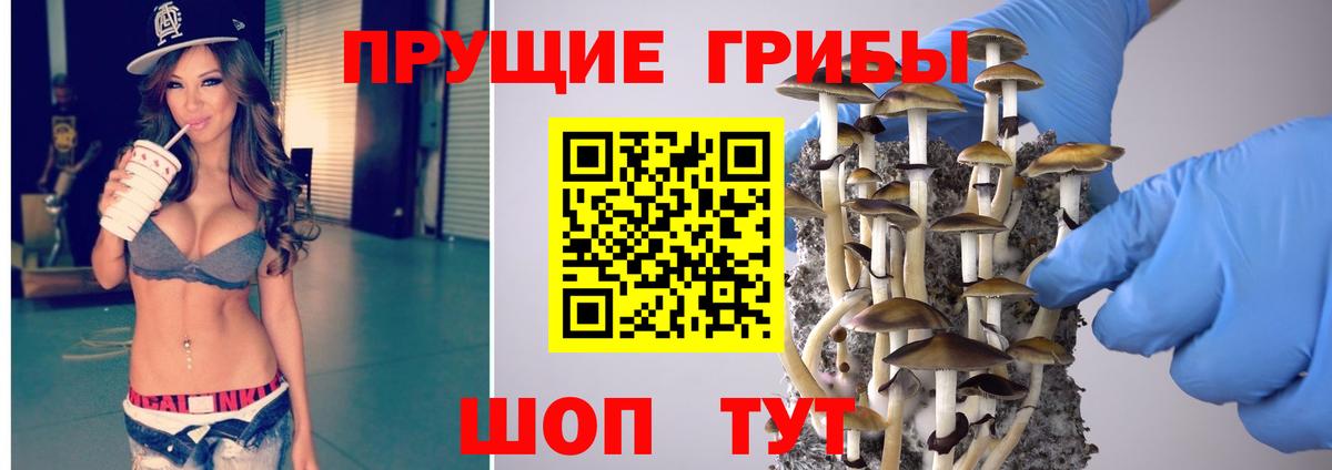 Псилоцибиновые грибы прущие грибы  Галлюциногенные грибы Cubensis  Вход с VPN  наркота  Кулебаки 